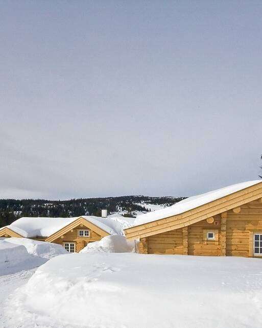 Blockhaus Ensemble Natur unbehandelt
