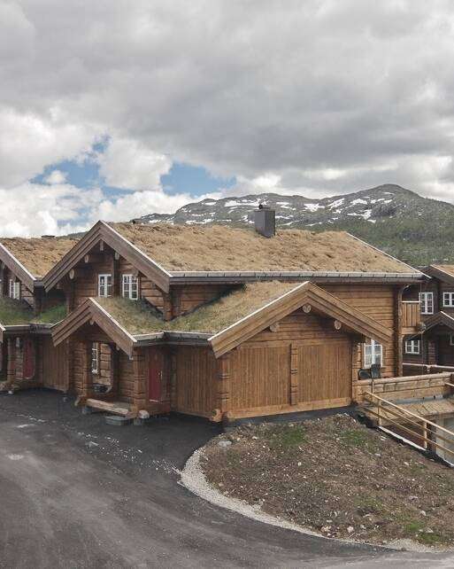 Blockhaus Ferienhäuser Anlage mit begrüntem Dach