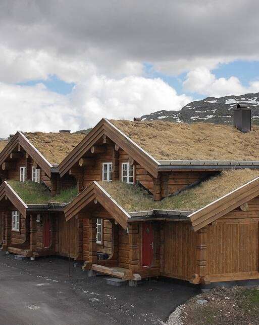 Blockhaus Ferienhaus mit begrüntem Dach