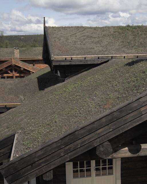 Blockhaus begrüntes Dach