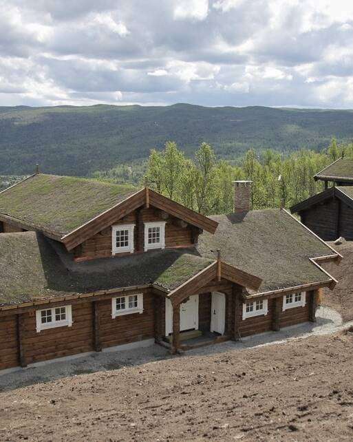 Blockhaus dunkel mit begrüntem Dach