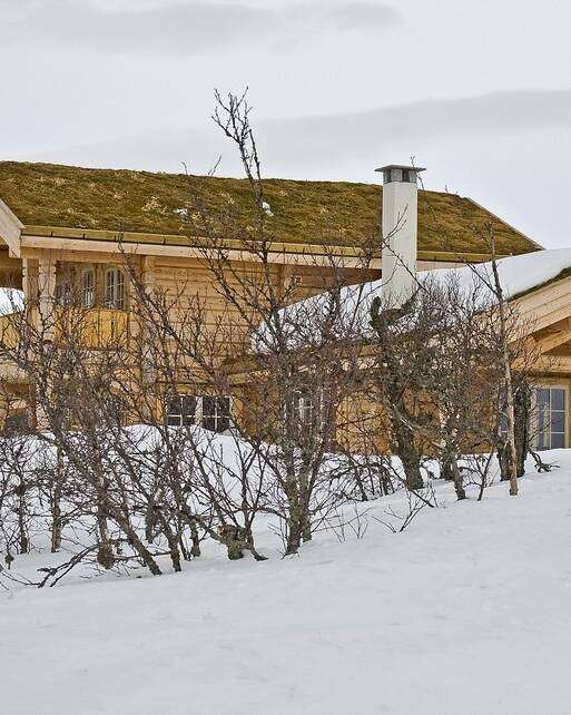 Blockhaus mehrgeschossig mit begrüntem Dach