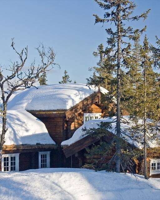 Großes Blockhaus im Wald
