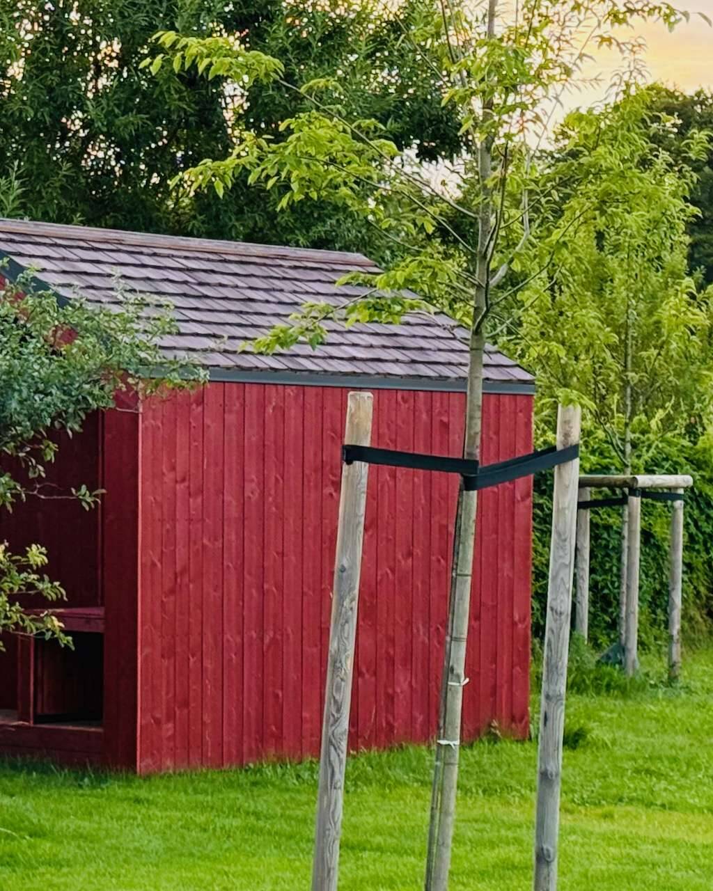 Barn Nordic Gartensauna in Rot in idyllischer Gartenlandschaft im Sonnenuntergang