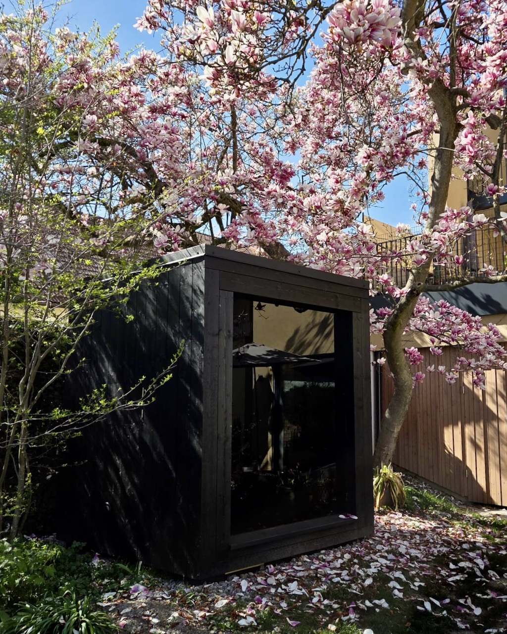 Schwarze Sauna fuer 2 3 Personen unter Magnolienbaum – ManoKin Schwarze Gartensauna für 2 3 Personen unter Magnolienbaum